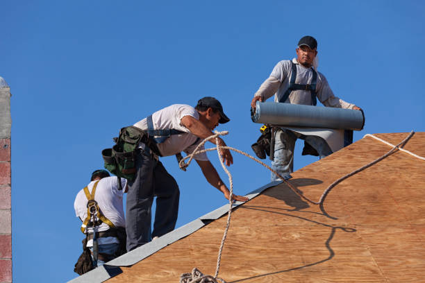 Best Local Roofing Companies  in Lake Ripley, WI
